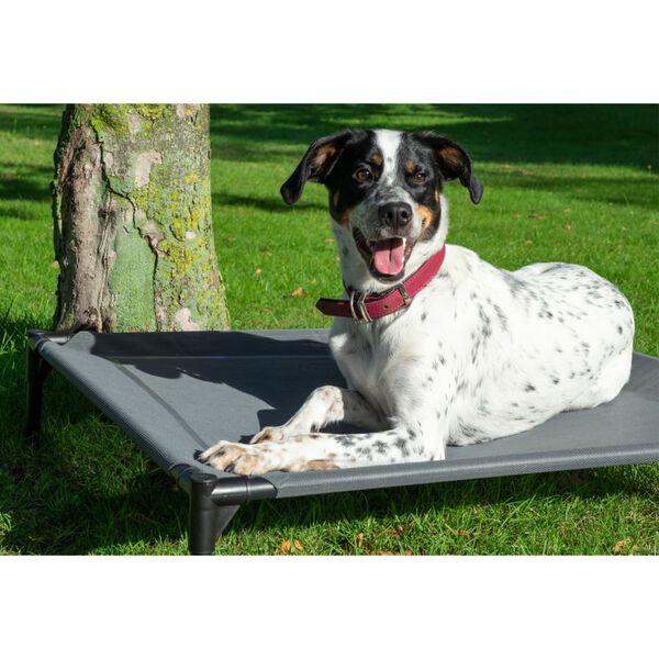 dobar Outdoor Dog Lounge with Sunshade Anthracite