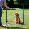 TRIXIE Agility Hurdle 123x115 cm Plastic 3207