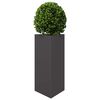 Product Thumbnail Image 4 of 12