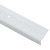 vidaXL Stair Nosings 10 pcs Silver 67 cm Aluminium