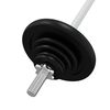 vidaXL Barbell with Plates 90 kg Cast Iron