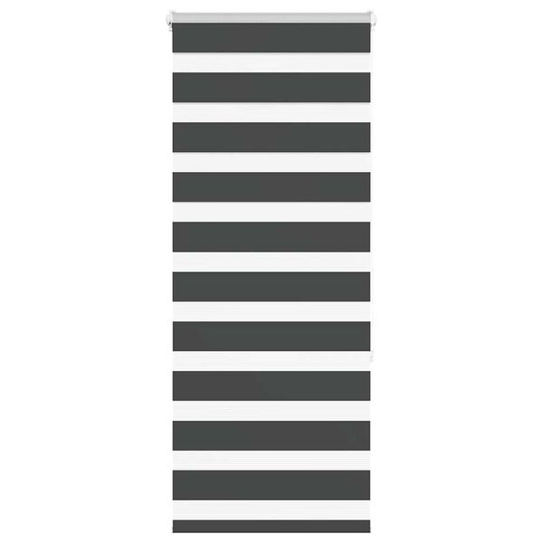 vidaXL Zebra Blind Black 60x150 cm Fabric Width 55.9 cm Polyester