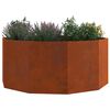 vidaXL Planter Rusty 120 x 120 x 50 cm Weathering Steel