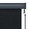 vidaXL Outdoor Roller Blind 100x250 cm Anthracite
