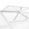 vidaXL Greenhouse Aluminium 421x190x195 cm 15.6 m&sup3;