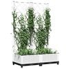 Product Thumbnail Image 7 of 8