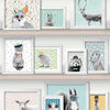 DUTCH WALLCOVERINGS Wallpaper Animal Photo Frames Multicolour L325-01