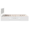 Product Thumbnail Image 9 of 14