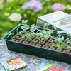Nature Propagator Mini Kit 4x16 Cells