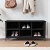 vidaXL Shoe Cabinet Black 100x35x50 cm Engineered Wood
