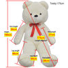 Product Thumbnail Image 5 of 5