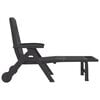 vidaXL Folding Sun Lounger with Wheels Anthracite PP