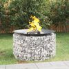 vidaXL Gabion Fire Pit &Oslash; 100 cm Galvanised Iron