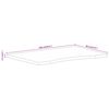 vidaXL Desk Top with Curve 100x60x2.5 cm Solid Wood Rough Mango