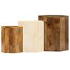 vidaXL Coffee Table Set 3 Pieces Solid Mango Wood