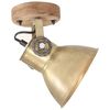 vidaXL Industrial Wall/Ceiling Lamps 2 pcs Brass 20x25 cm E27