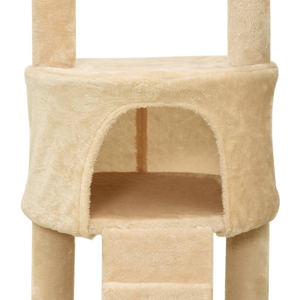 Kitty jungle online gym whisker city