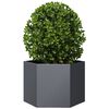 vidaXL Garden Planter Anthracite Hexagon 69x60x45 cm Steel