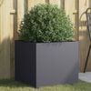 Product Thumbnail Image 2 of 11