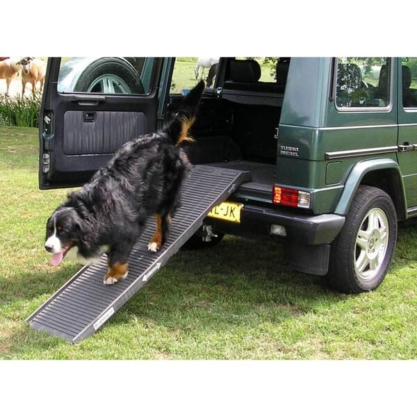 PetSafe Dog Ramp 180x45x6 cm Anthracite