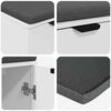 vidaXL Hall Bench with Cushion with Storage White 60 x 38 x 46 cm
