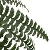 Product Thumbnail Image 5 of 6