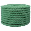 vidaXL Cotton Rope 24 mm 25 m Green 100% Cotton