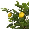 Product Thumbnail Image 4 of 5