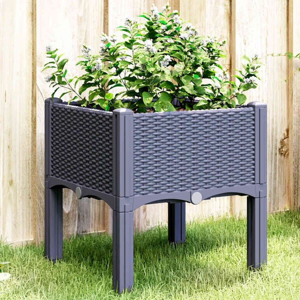 Showing Product Image 2 of 8