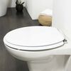 Tiger Soft-Close Toilet Seat Reno MDF White 252350646