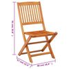 vidaXL Folding Garden Chairs 2 pcs Solid Eucalyptus Wood