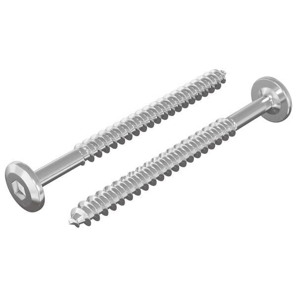 vidaXL Wood Screws 2 pcs Silver M6 x 70 mm Steel