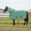 vidaXL Horse Blanket Special Green Polyester