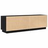 vidaXL TV Cabinet with LED Lights Black Oak 160.5x41x50 cm
