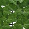 Product Thumbnail Image 4 of 6