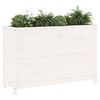 vidaXL Garden Raised Bed White 119.5x40x78 cm Solid Wood Pine