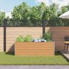 Product Thumbnail Image 4 of 13