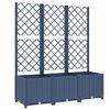 Blue_grey