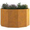 Product Thumbnail Image 3 of 12