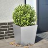 Product Thumbnail Image 2 of 11