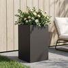 Product Thumbnail Image 2 of 7