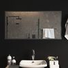 vidaXL LED Bathroom Mirror 50x100 cm