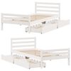Product Thumbnail Image 9 of 11