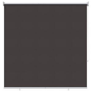 vidaXL Outdoor Roller Blind UV Protection Anthracite Polyester