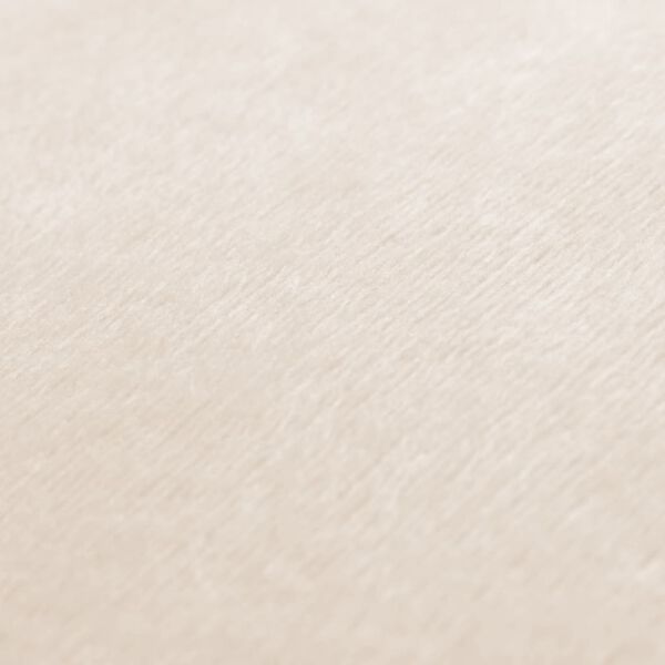 vidaXL Cushion Covers 4 pcs Velour 80x80 cm Off White