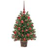 Product Thumbnail Image 3 of 15