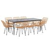 vidaXL 9 Piece Garden Dining Set Poly Rattan
