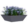 vidaXL Garden Planter 5 pcs Anthracite 50 x 50 x 15 cm