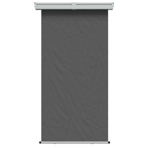 vidaXL Balcony Side Awning 100% polyester iron steel