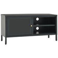 vidaXL TV Cabinet Anthracite 90x30x44 cm Steel and Glass